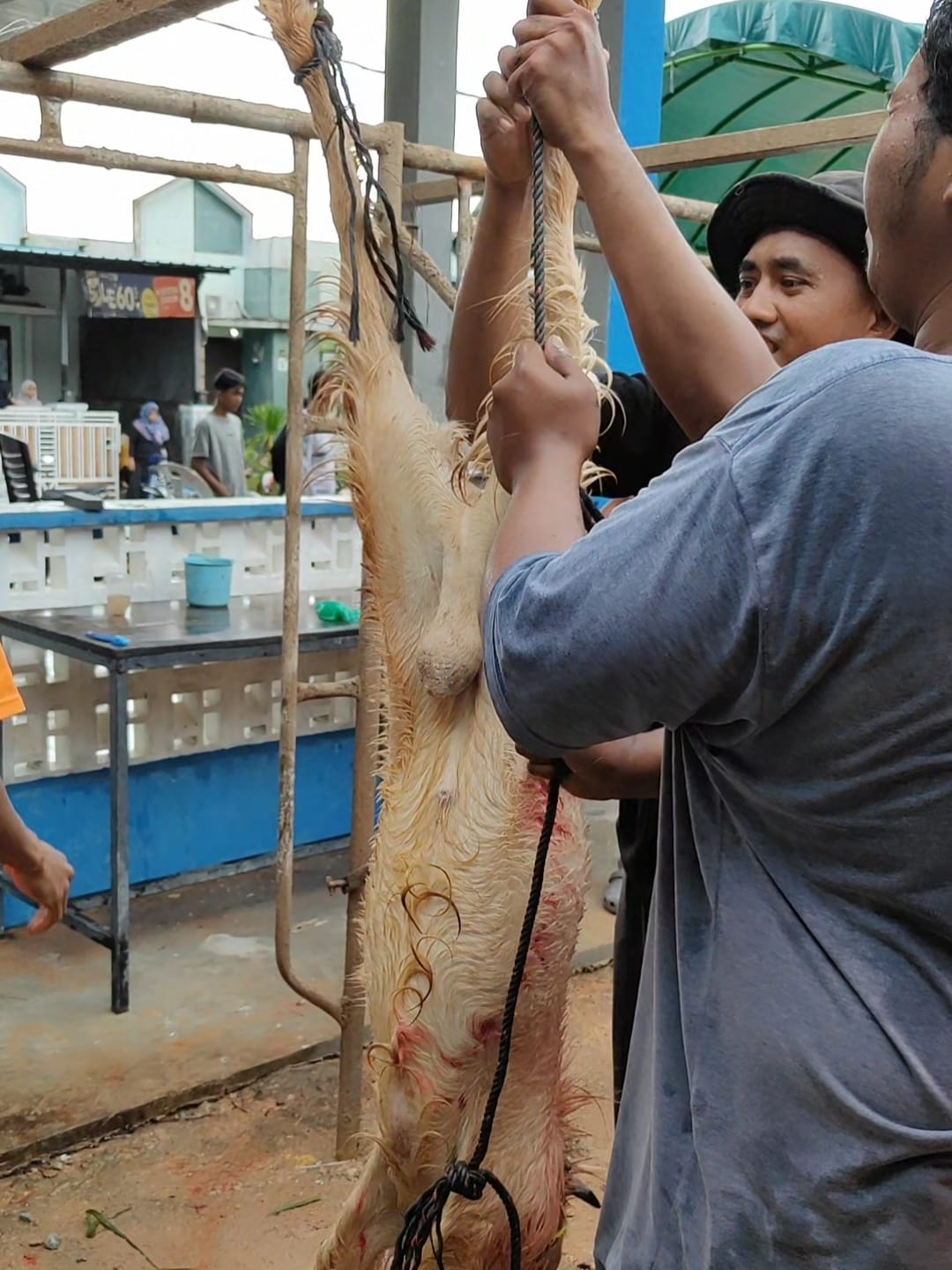 Galeri Qurban